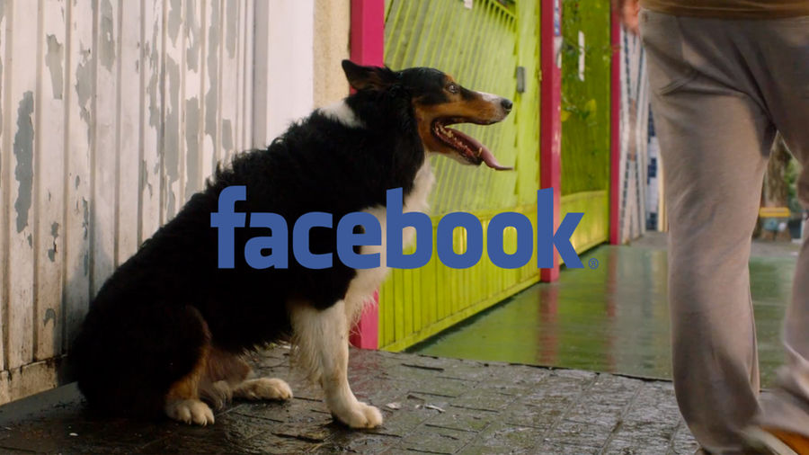 Facebook — cartela original da campanha